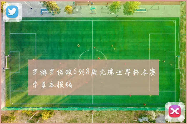 罗梅罗伤缺6到8周无缘世界杯本赛季基本报销